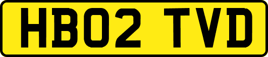 HB02TVD