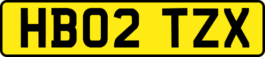 HB02TZX