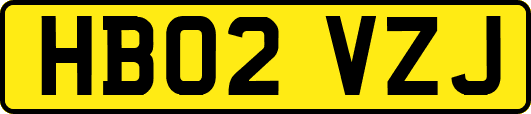 HB02VZJ
