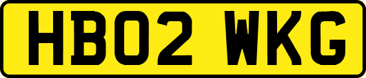 HB02WKG
