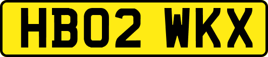 HB02WKX