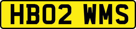 HB02WMS