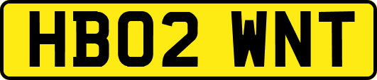 HB02WNT