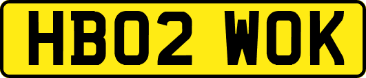 HB02WOK