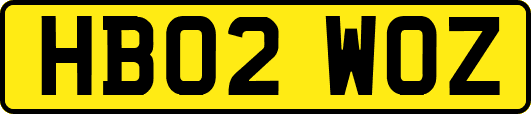 HB02WOZ