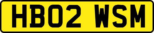 HB02WSM
