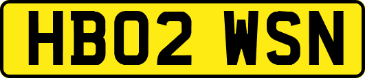 HB02WSN
