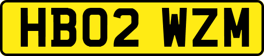 HB02WZM