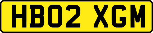 HB02XGM