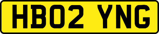 HB02YNG