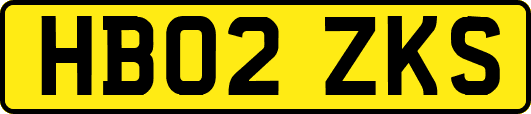 HB02ZKS