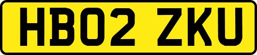 HB02ZKU