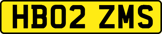 HB02ZMS