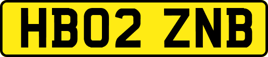HB02ZNB