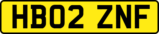 HB02ZNF