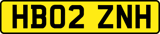 HB02ZNH
