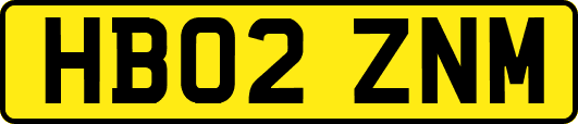 HB02ZNM