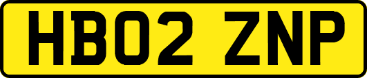 HB02ZNP