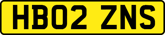HB02ZNS