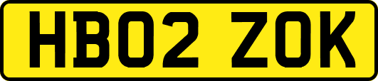HB02ZOK