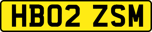 HB02ZSM