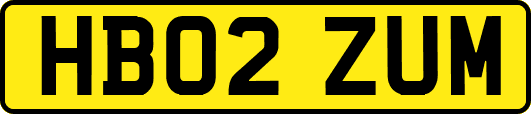 HB02ZUM