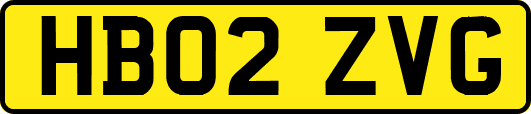 HB02ZVG