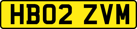 HB02ZVM