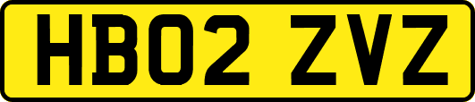 HB02ZVZ