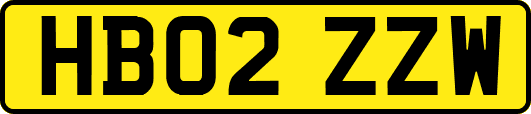 HB02ZZW