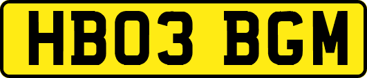 HB03BGM
