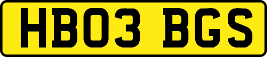 HB03BGS