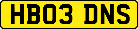 HB03DNS