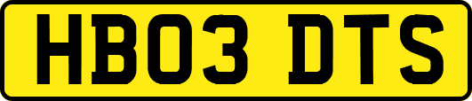 HB03DTS