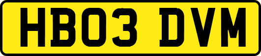 HB03DVM