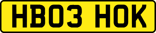 HB03HOK