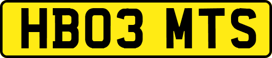 HB03MTS