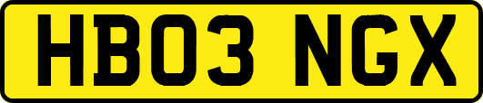 HB03NGX