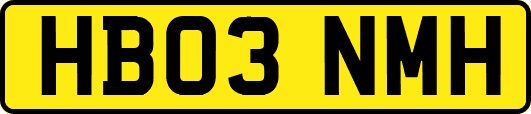 HB03NMH