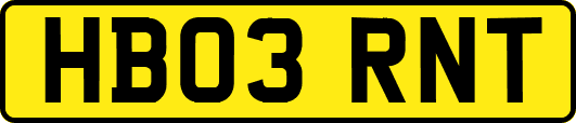 HB03RNT