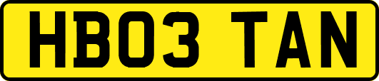 HB03TAN
