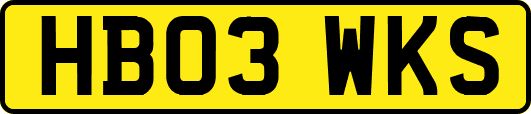 HB03WKS