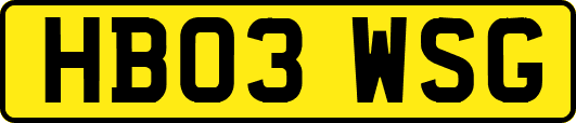 HB03WSG
