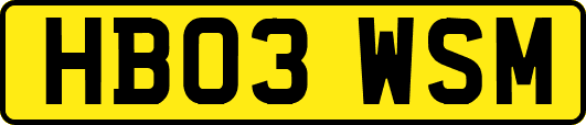 HB03WSM