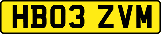 HB03ZVM