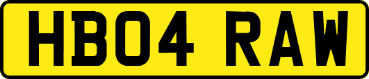 HB04RAW