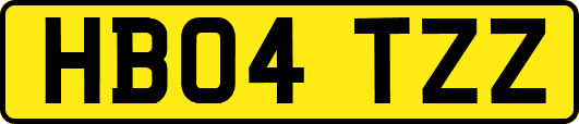 HB04TZZ