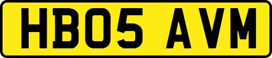 HB05AVM