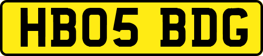 HB05BDG