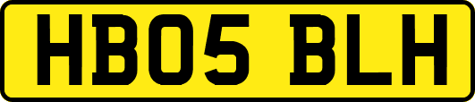 HB05BLH